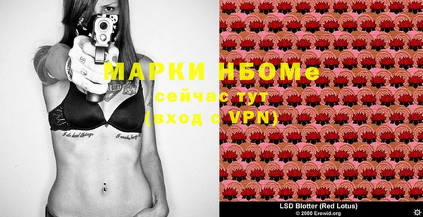 молекула духа Бугульма