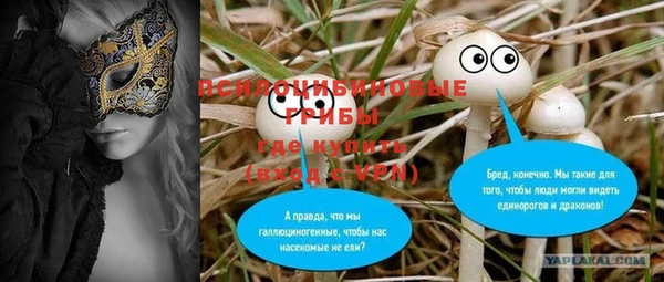 молекула духа Бугульма