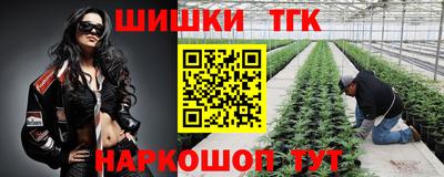 ешки Сланцы