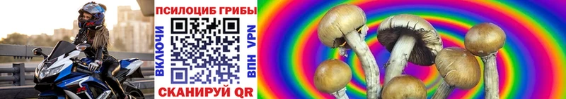 Галлюциногенные грибы мицелий  Северобайкальск 