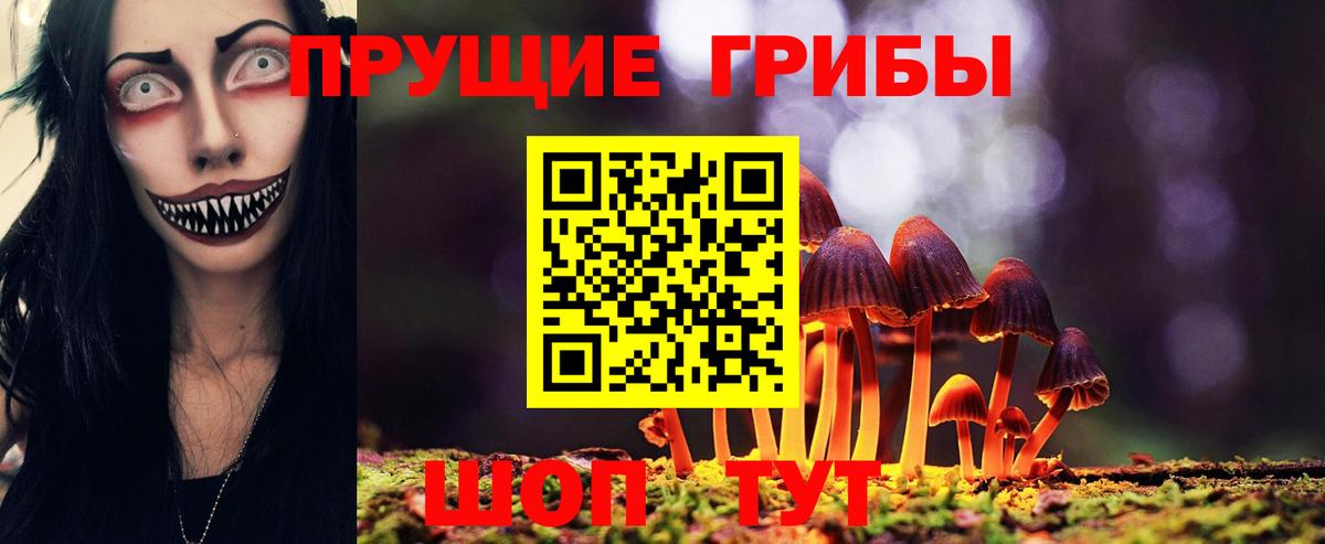 где можно купить   Вход с VPN  Северобайкальск  Псилоцибиновые грибы Psilocybine cubensis 