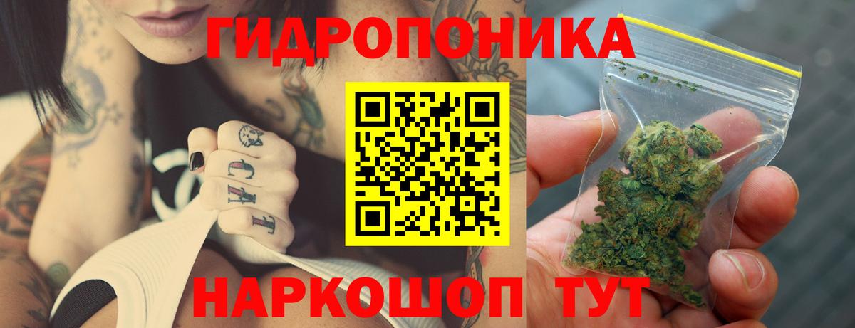 Конопля индика  Вход с VPN  МАРИХУАНА THC 21%  Шишки марихуана план  Северобайкальск 